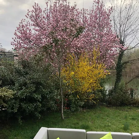 Bords De Marne Bois Vincennes *