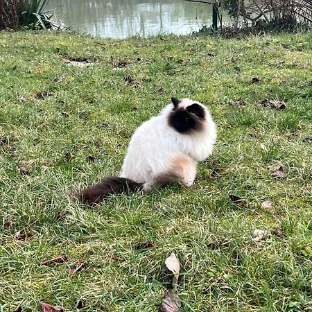 Villa Bords De Marne Bois Vincennes